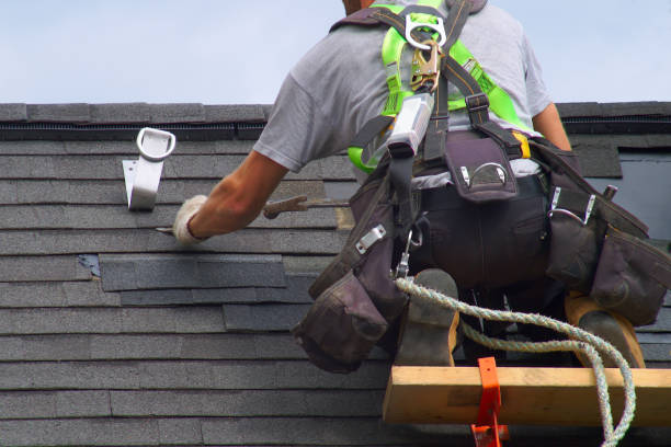 Professional Roofing Contractor in Blaine, MN