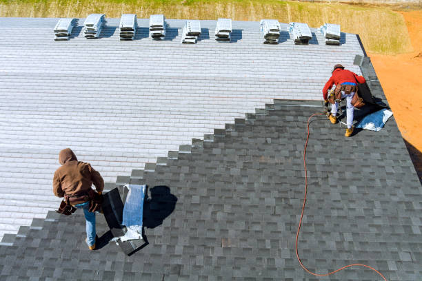 Best Roof Repair Services  in Blaine, MN